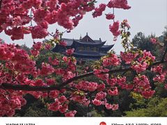 -黑龙潭公园