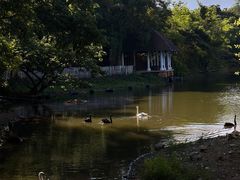 -清迈夜间动物园