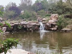 -石家庄市植物园