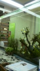 android_upload_pic-小左美发