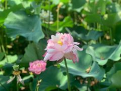 -廊坊文化艺术中心