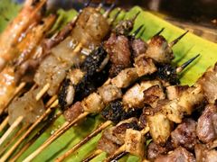 -杨合林啊兰烤鱼