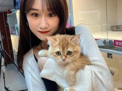 -lincat·猫舍(广州店)