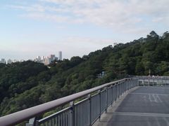 -金鸡山公园