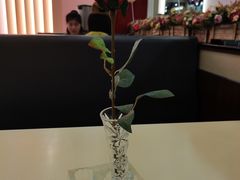 -雅泰来(解放路店)
