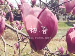 -艾溪湖湿地公园