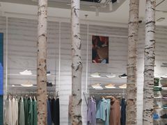 -allbirds(三里屯太古里南区店)