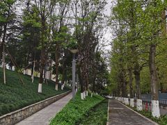 -龙头寺公园