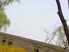 -百脉泉景区