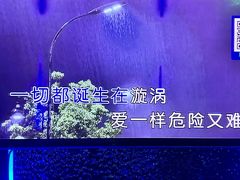 -宝乐星量贩KTV(莲升路店)