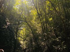 -千泷沟大瀑布旅游区