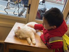 -猫小院猫主题餐厅(南锣旗舰店)