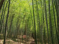 -南京市无想山景区