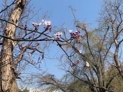 -捞渔河湿地公园