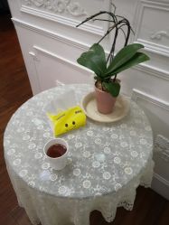 -宝丽姿