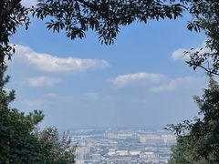 -惠山国家森林公园