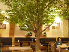 大堂-多乐之日(五道口店)