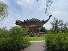 -自然谷恐龙园