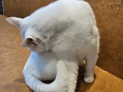 -春阳水饺(香槟广场店)