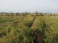 -漩门湾国家湿地公园
