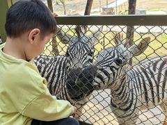 -深圳野生动物园