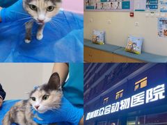 -美联众合动物医院·24h京西诊疗中心