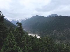 -黄龙山原始森林景区