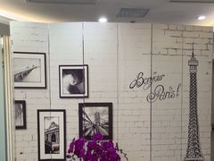 -泰康拜博口腔(世博园乐尔店)