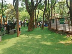 -WeLope紫金山探险公园