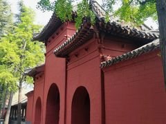 -洛阳白马寺