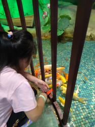 -酷嗒动物文化乐园(cutezoo西溪乐天城店)