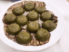 -姚林轩