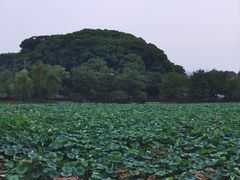 -石湖景区