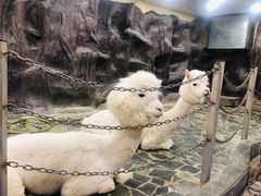 -上海大自然野生昆虫馆(东方明珠·爬宠昆虫探索中心)