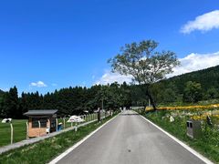 -武陵山森林公园