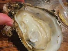 原味烧蚝-土蚝·高压锅生蚝(百姓美食街店)