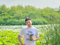 -丁香湖公园