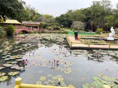-广州莲花山旅游区