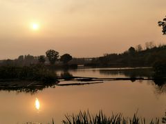 -白鹭湾湿地公园