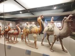 -西安大唐西市博物馆