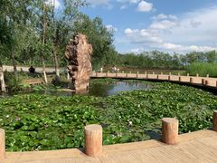 -绿堤公园