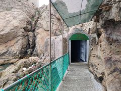 -摩天岭风景区