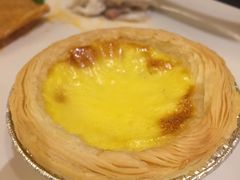 -裕龙汤泉