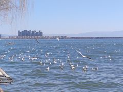 -滇池海埂公园