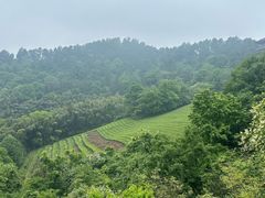 -敬亭山风景名胜区