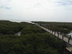 -北海金海湾红树林生态旅游区