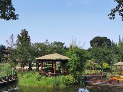-成飞公园