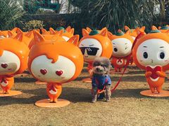 -上海长兴岛郊野公园