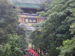 -姑婆山旅游区