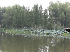 -长兴太湖图影湿地文化园